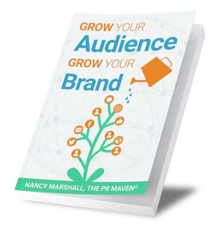 Grow Your Audience, Grow Your Brand. Book cover example.